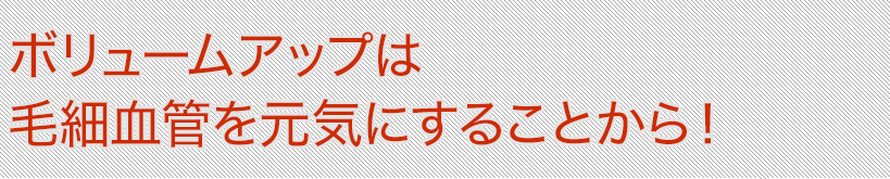 ボリュームアップは毛細血管を元気にすることから！