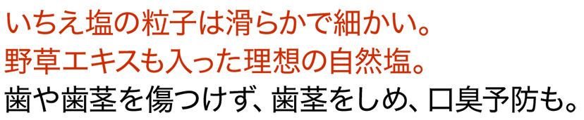 いちえ塩の粒子は滑らかで細かい。野草エキスも入った理想の自然塩。歯や歯茎を傷つけず、歯茎をしめ、口臭予防も。